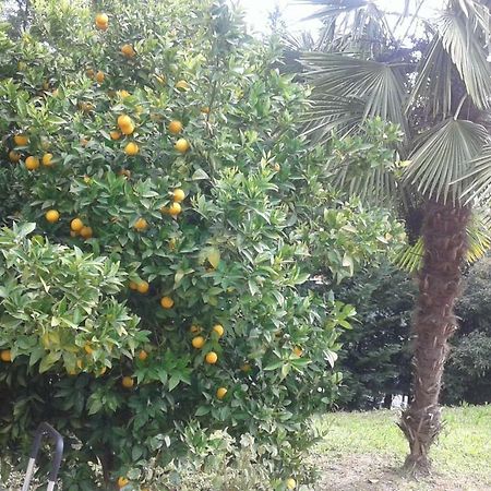 Le Palme Acomodação com café da manhã Chieti Exterior foto