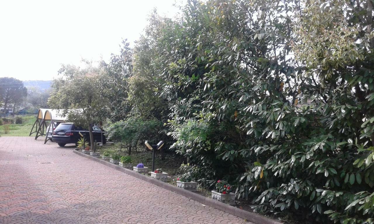 Le Palme Acomodação com café da manhã Chieti Exterior foto